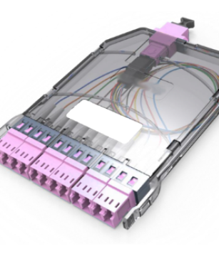 Adobe Express - file (10)