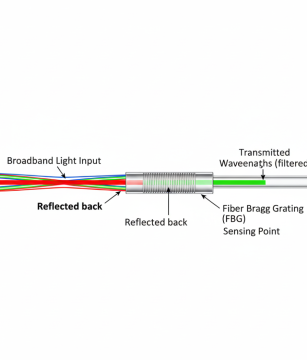 Adobe Express - file (6)